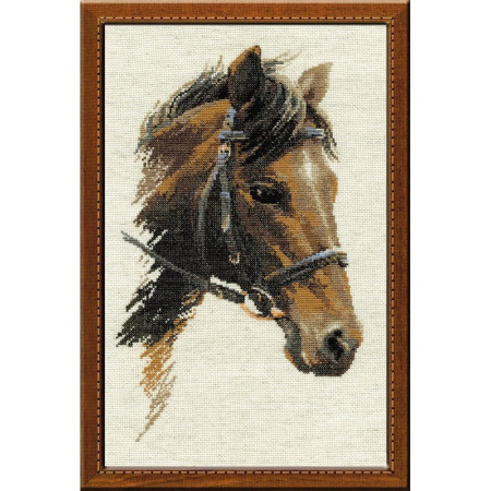 Riolis Stickset Bulat