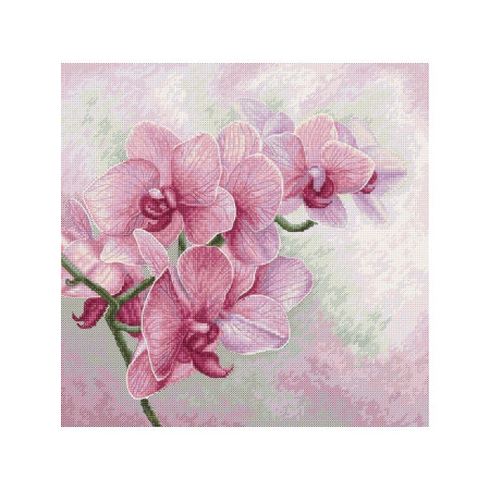 Luca-S Stickset Anmutige Orchideen