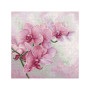 Luca-S Kit de broderie Orchidées gracieuses