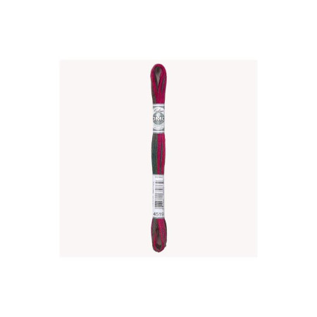 DMC Mouliné Coloris 4519