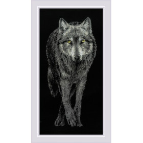 Riolis Borduurpakket Alfa