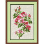 Riolis Embroidery kit May Wild Rose