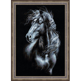 Riolis Borduurpakket Wind door manen