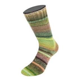 Meilenweit 100 Rainbow 6402 