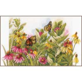 Embroidery kit kit Butterflies & coneflowers