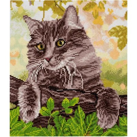Kit de broderie Chat