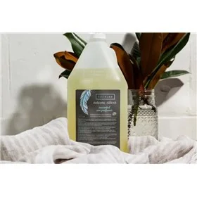 Eucalan Wollwaschmittel Duftlos 4 L