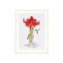 Merejka Borduurpakket Amaryllis 
