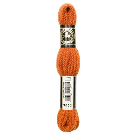 DMC laine Colbert 7922