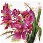 Borduurpakket Prachtige orchideeën