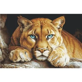 Luca-S Stickset Der wilde Geist