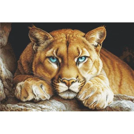 Luca-S Stickset Der wilde Geist