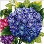 Kit de broderie Hortensia