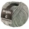 Brigitte Silkdream 15 Gris