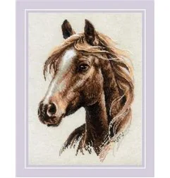 Riolis Borduurpakket Trotse geest