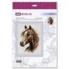 Riolis Kit de broderie Esprit rebelle