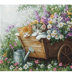 Luca-S Kit de broderie Le sommeil des chatons