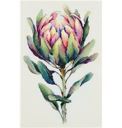 Stickset Protea