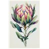 Kit e broderie Protea