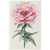 Embroidery kit Peony