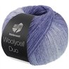 Lana Grossa Meilenweit 100 Woolycell Duo 6005