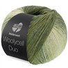 Lana Grossa Meilenweit 100 Woolycell Duo 6008