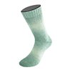 Lana Grossa Meilenweit 100 Woolycell Duo 6007