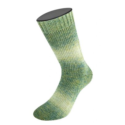 Lana Grossa Meilenweit 100 Woolycell Duo 6008