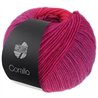 Corallo 04 Reddisch violet