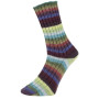 Laine et tricot. Pro Lana Golden Socks Tannheim 5 190.03