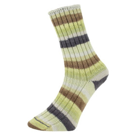 Laine et tricot. Pro Lana Golden Socks Tannheim 5 190.06