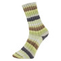Laine et tricot. Pro Lana Golden Socks Tannheim 5 190.06